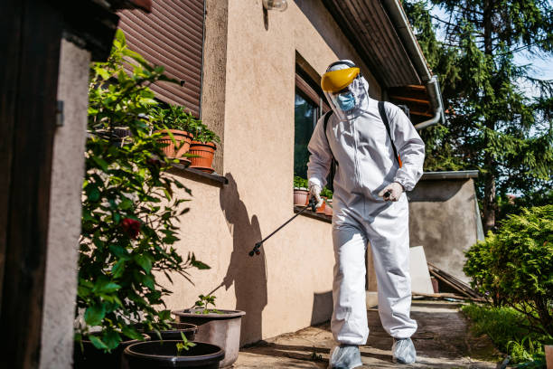 Best Pest Removal Services  in Pablo, MT