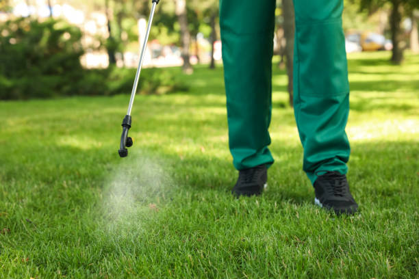 Best Local Pest Control Services  in Pablo, MT