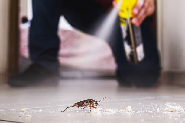 Best Best Pest Control Companies  in Pablo, MT