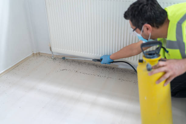 Best Bed Bug Extermination  in Pablo, MT