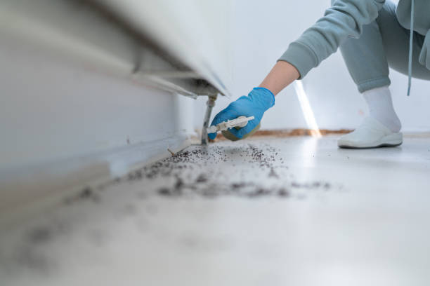 Best Commercial Pest Control Services  in Pablo, MT